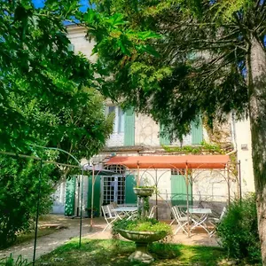 Au Saint Roch - Et Jardin 2* Avignone